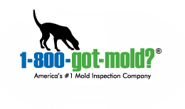 1-800-GOT-MOLD.png
